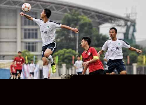 葡萄牙前锋保利尼奥：C罗改变了葡萄牙足球；我想踢世界杯（葡萄牙前锋保利尼奥：C罗重塑葡萄牙足球，我渴望出战世界杯）